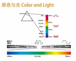 光與顏色：自然界萬物的視覺基礎